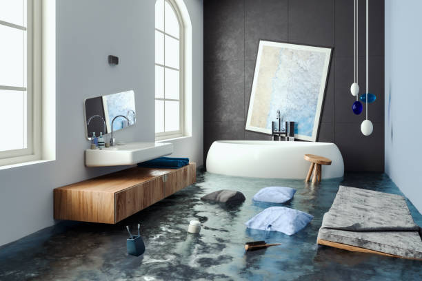 Best Professional water damage repair  in South Farmingdale, NY