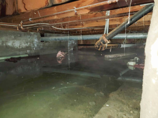 Best Ceiling water damage repair  in South Farmingdale, NY