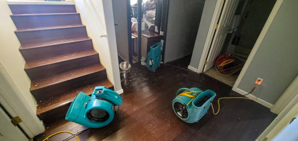 Best Mold removal after water damage  in South Farmingdale, NY