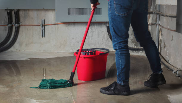 Best Sewage cleanup and water damage restoration  in South Farmingdale, NY