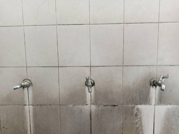 Best Flooded house restoration  in South Farmingdale, NY