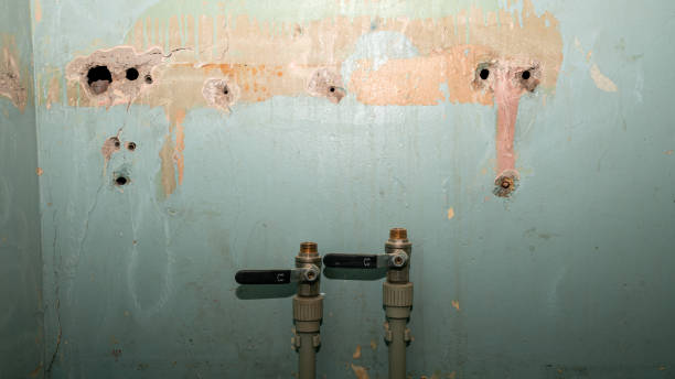 Best Water damage contractors near me  in South Farmingdale, NY