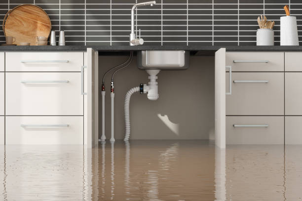 Best Water damage restoration near me  in South Farmingdale, NY