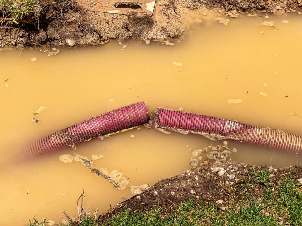Best Local water damage restoration  in South Farmingdale, NY