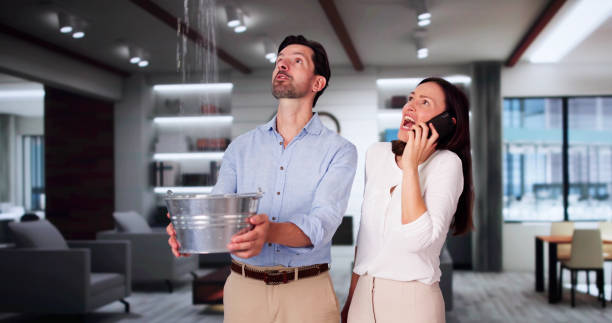 Best Water damage restoration insurance claims  in South Farmingdale, NY