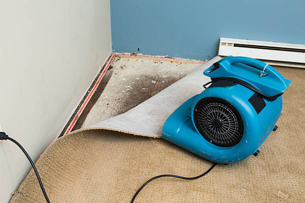 Best Residential water damage restoration  in South Farmingdale, NY